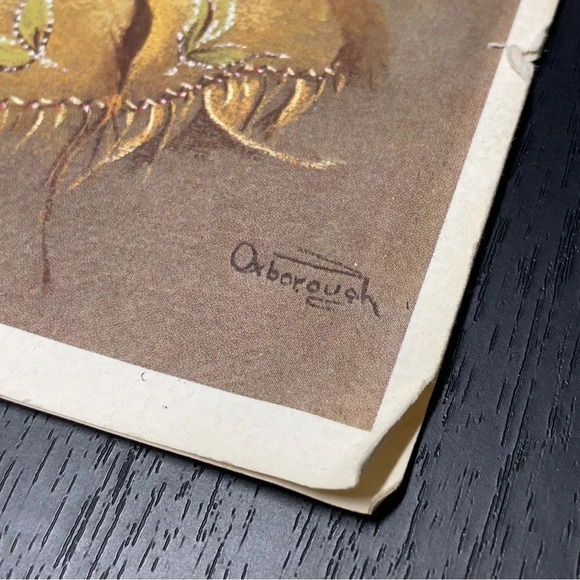 Child portrait, indigenous card - Picture 7 of 13